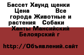 Бассет Хаунд щенки › Цена ­ 20 000 - Все города Животные и растения » Собаки   . Ханты-Мансийский,Белоярский г.